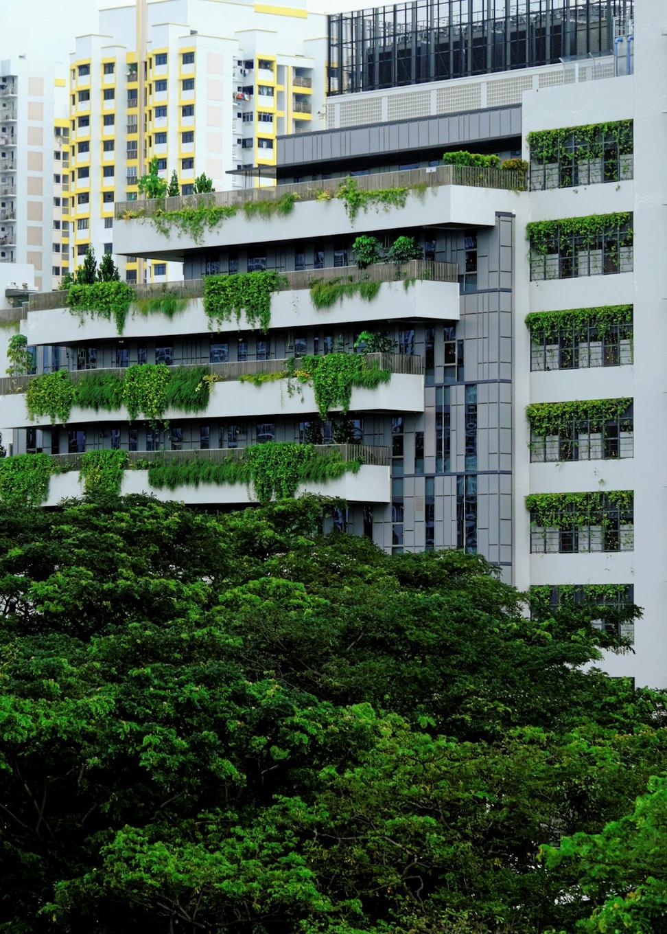 Green roof implementation
